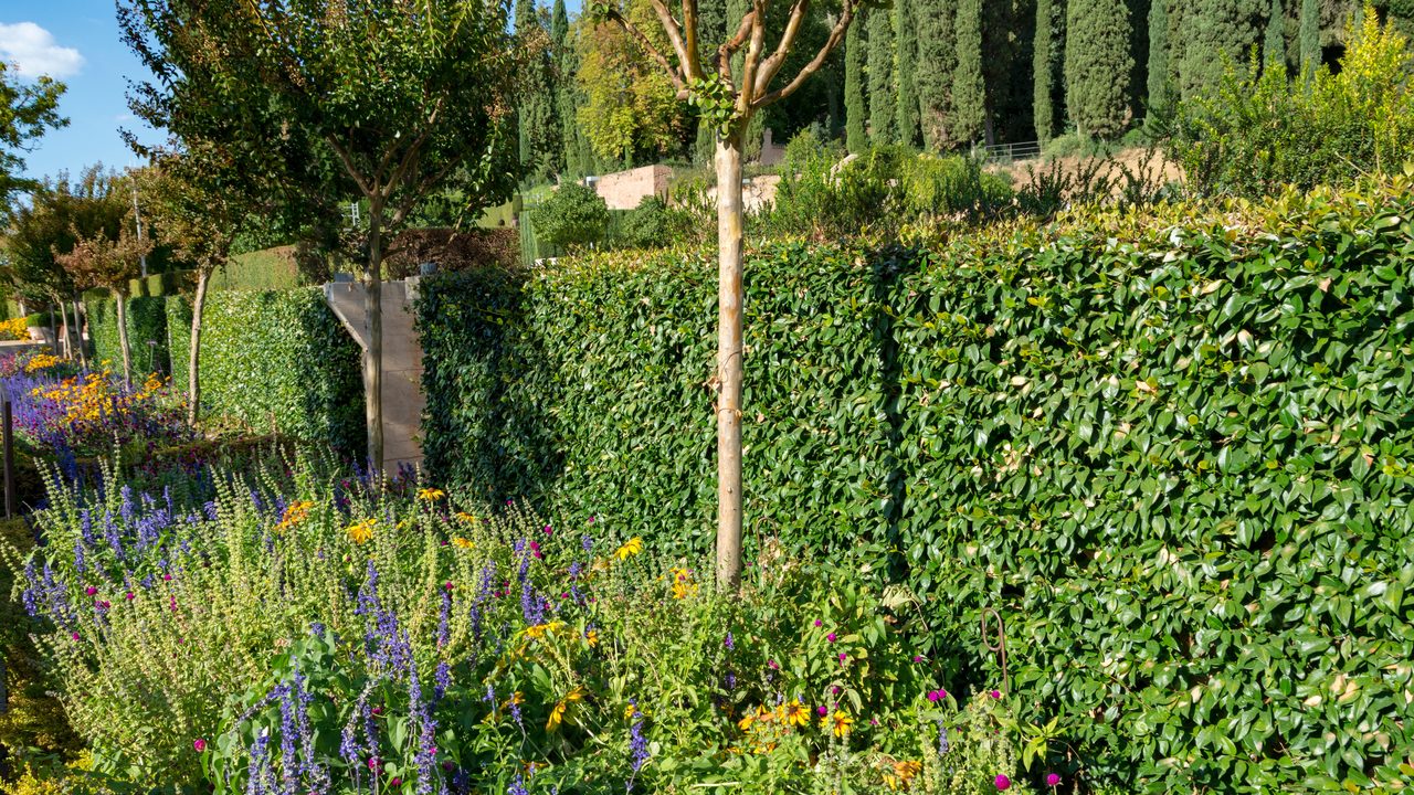 20171006 170647 Alhambra Palace, Granada, Andalusia, Spain